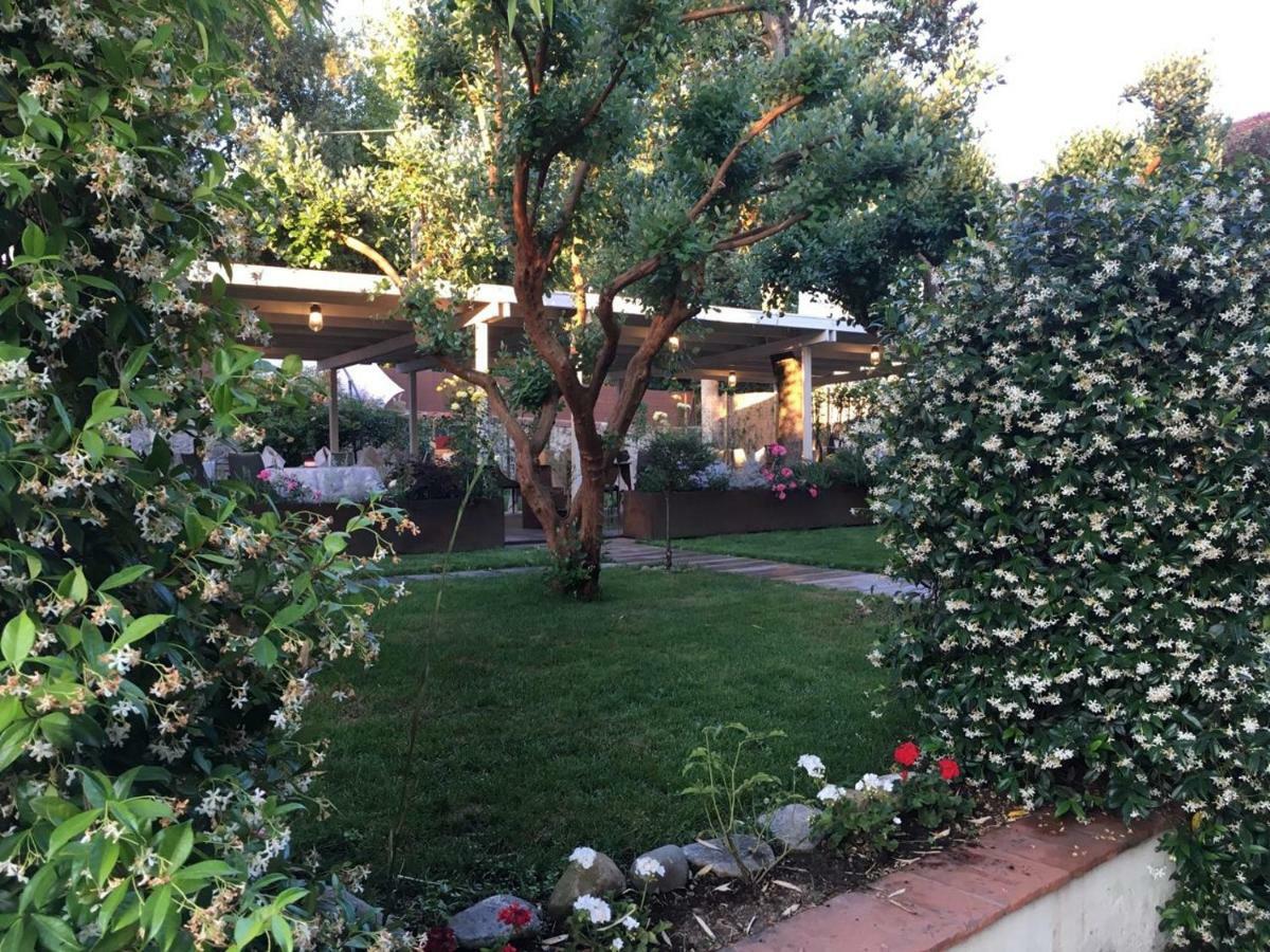 Locanda Del Pesce Briaco, B&B Lucca Exteriör bild