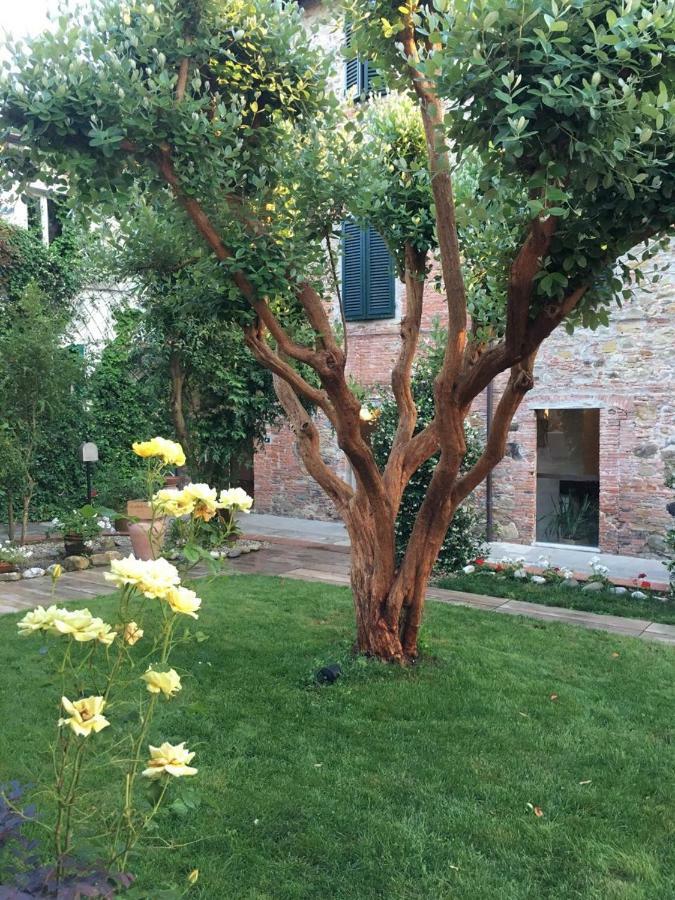 Locanda Del Pesce Briaco, B&B Lucca Exteriör bild